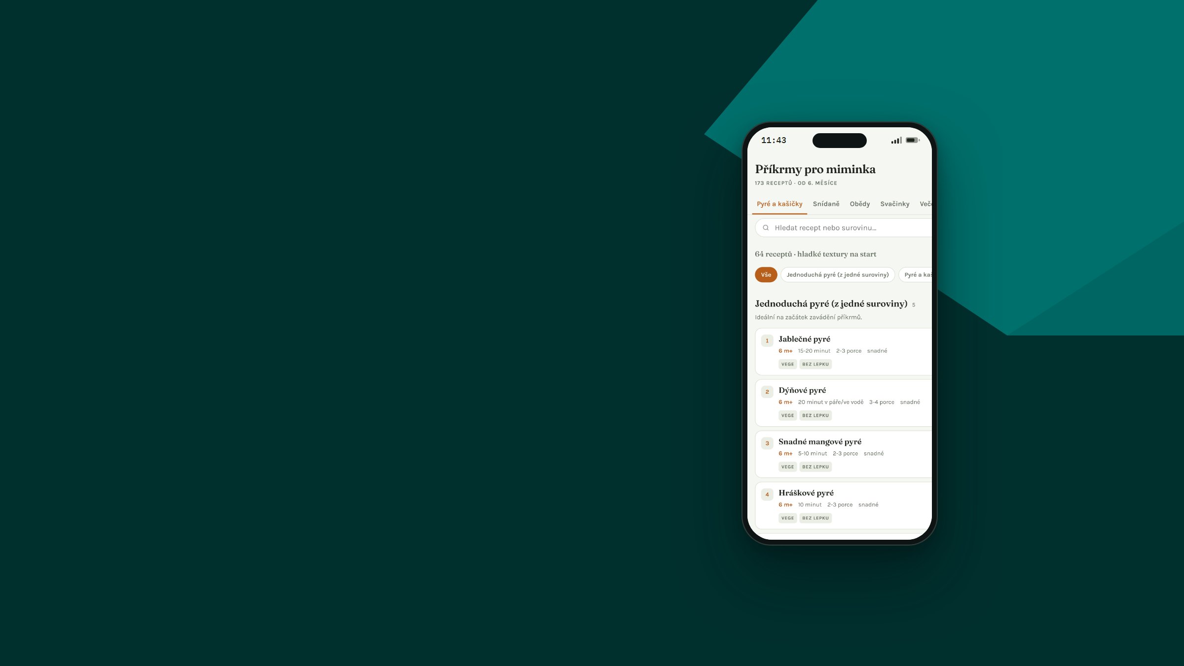 Vibe coding: appka s recepty v mobilu